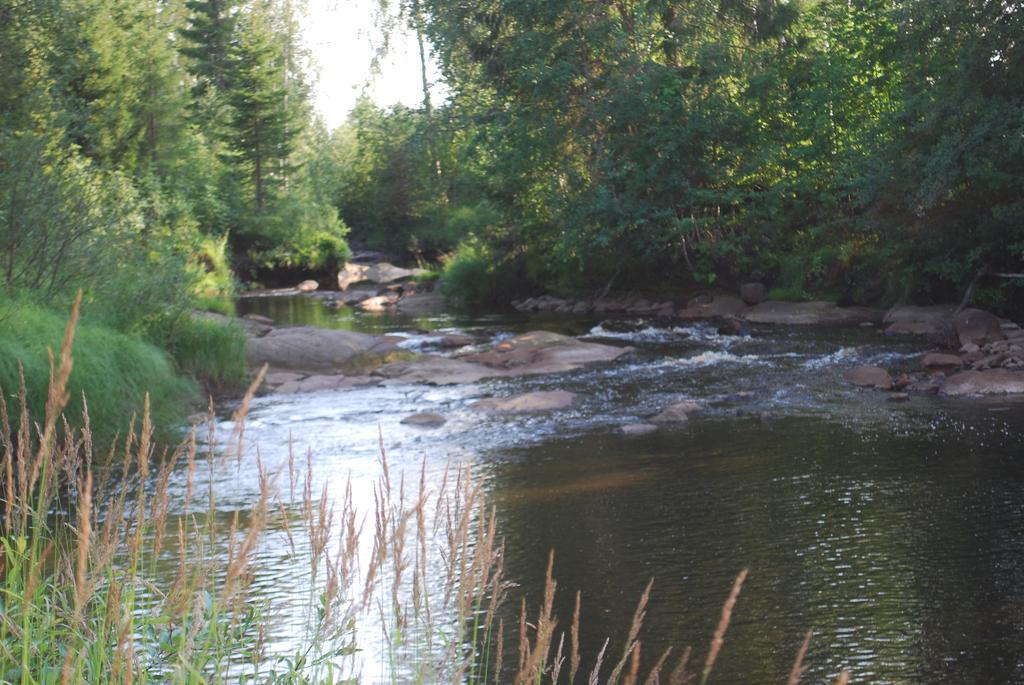 Lufta Camping & Restaurang Ånäset Exteriér fotografie