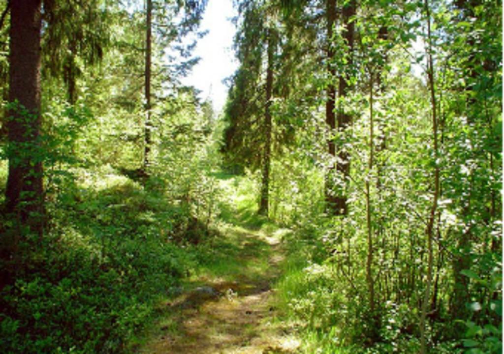 Lufta Camping & Restaurang Ånäset Exteriér fotografie